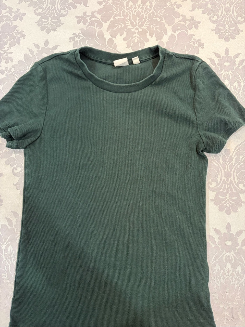 Aritzia homestretch scarab green Sleeve Crewneck Top - Green